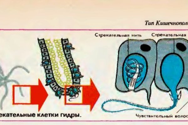 Через какой браузер зайти на кракен